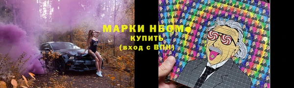 гидра Покачи