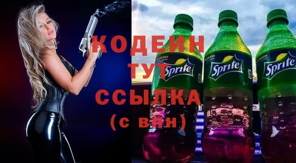гидра Покачи