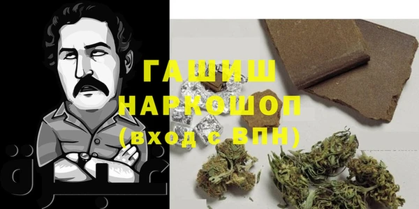 гидра Покачи