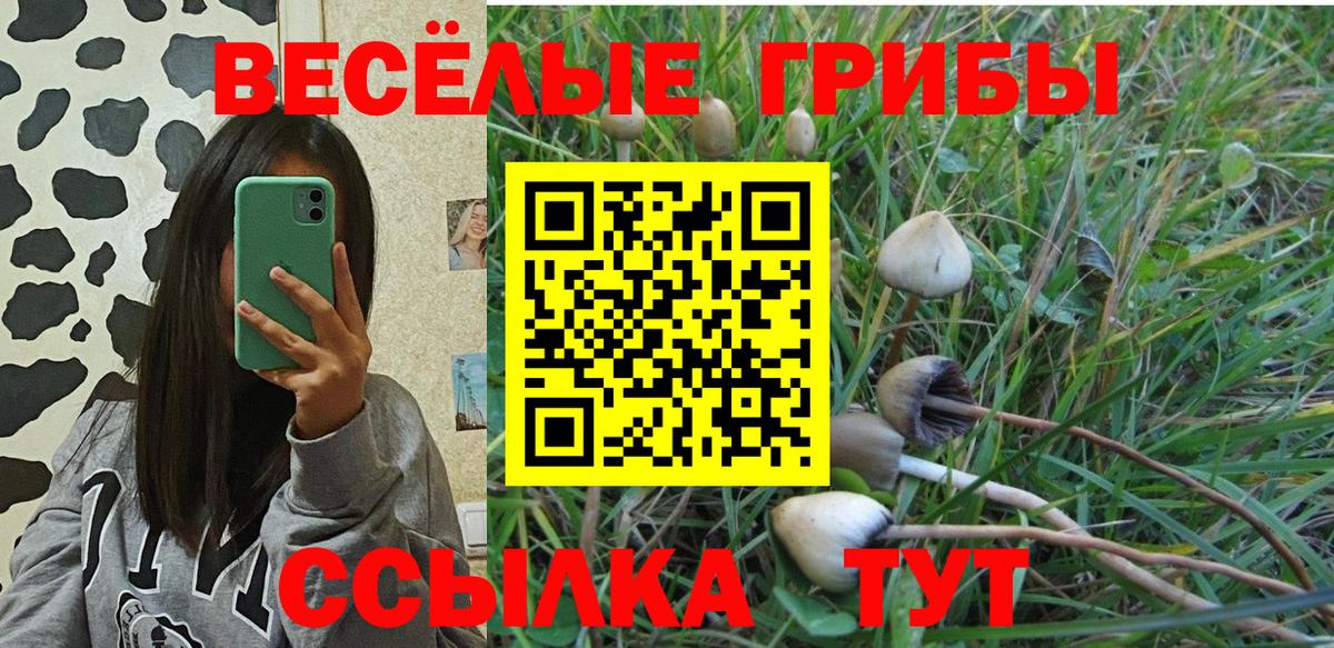 Псилоцибиновые грибы Cubensis Кореновск