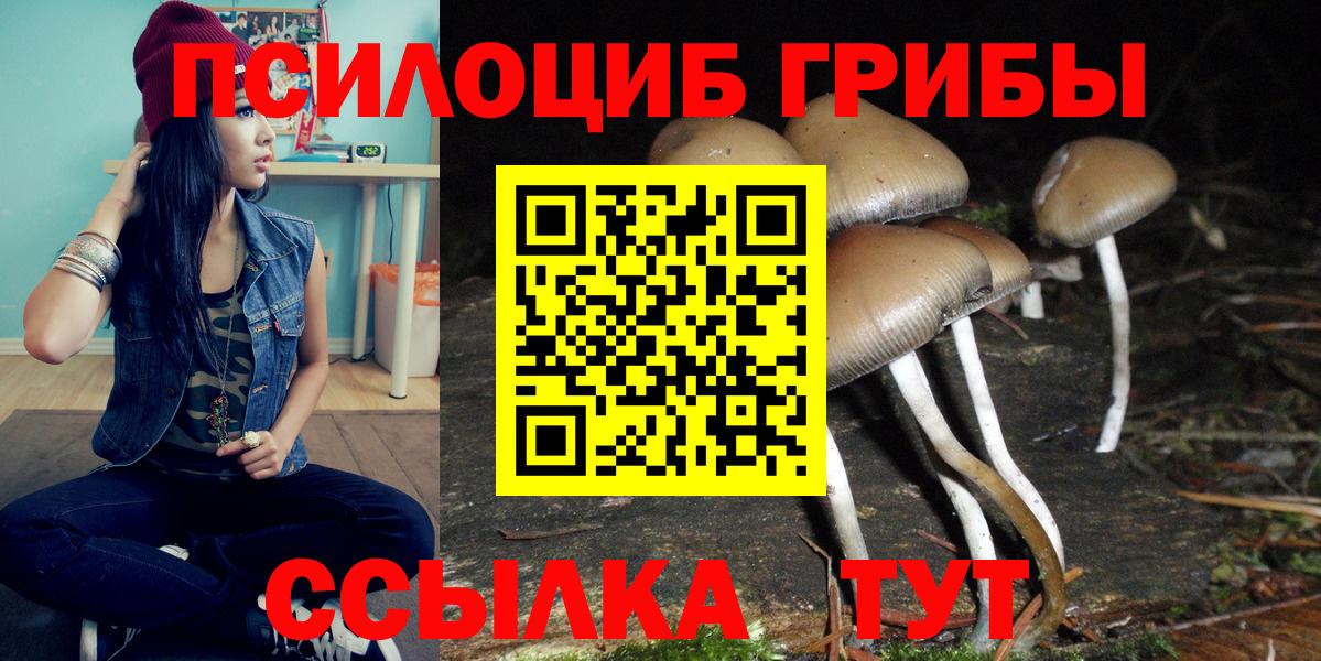 Галлюциногенные грибы GOLDEN TEACHER Кореновск