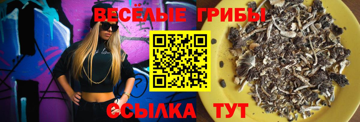 цены наркотик  Кореновск  Галлюциногенные грибы Magic Shrooms  Галлюциногенные грибы ЛСД 