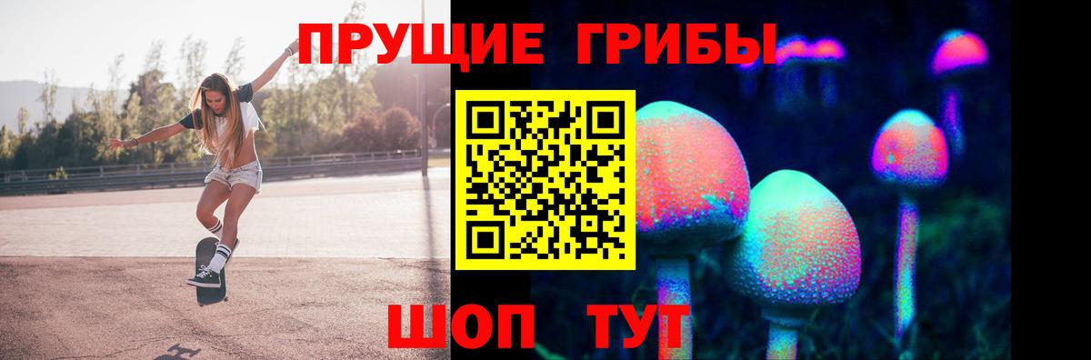Кореновск  Псилоцибиновые грибы мицелий  Вход с VPN  Псилоцибиновые грибы Cubensis 