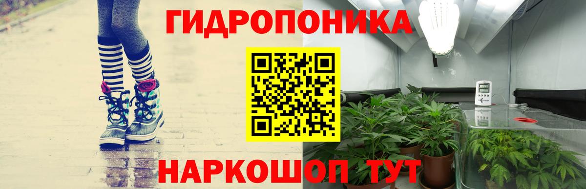 Бошки Шишки ГИДРОПОН  Бошки Шишки OG Kush  Кореновск  Марихуана планчик  Вход с VPN  Конопля индика 
